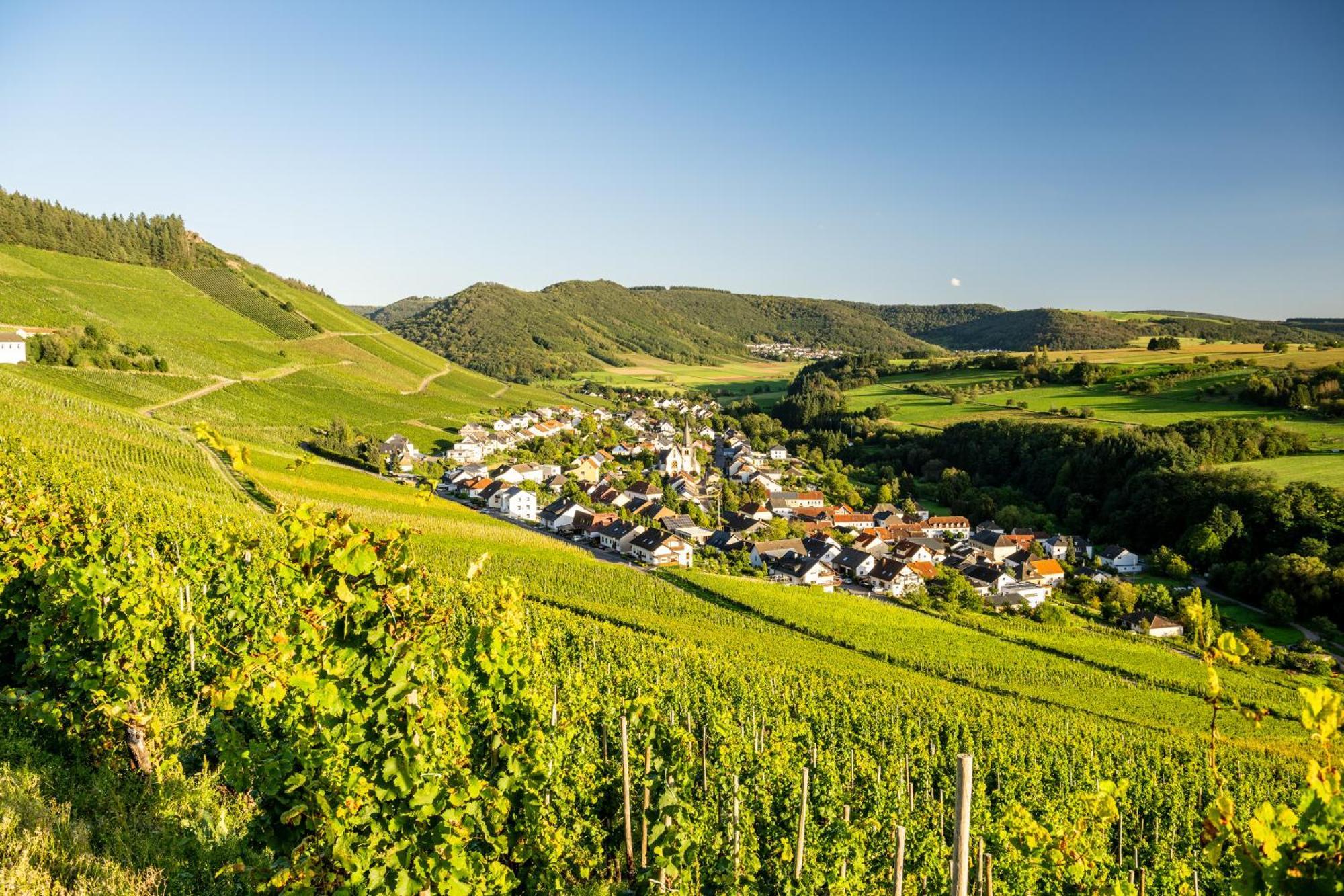 Weinhotel Restaurant Klostermuehle Ockfen Eksteriør bilde