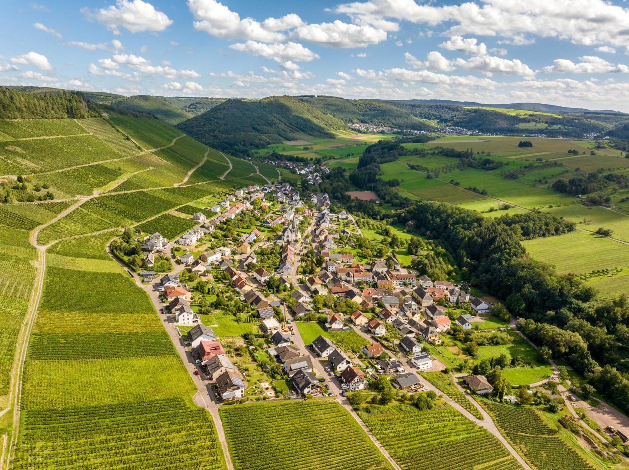 Weinhotel Restaurant Klostermuehle Ockfen Eksteriør bilde